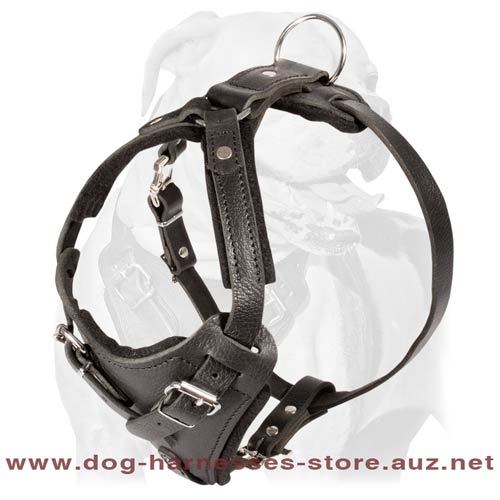 Grand Leather Dog Harness