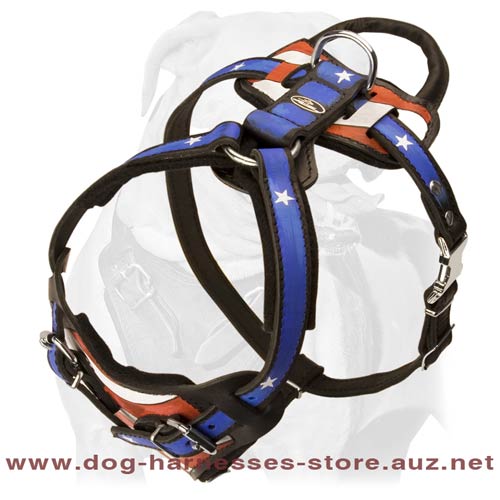 Comfy Leather Dog Harness