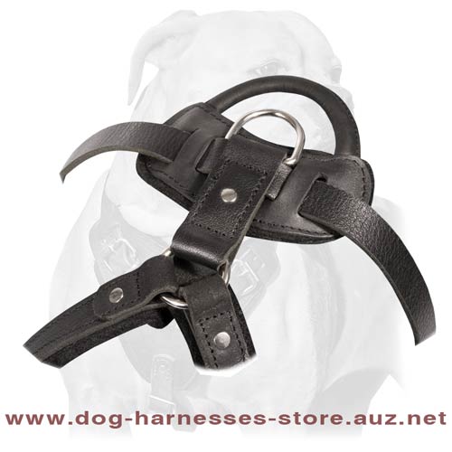 Leather Dog Harness Of A Multifunctional Use