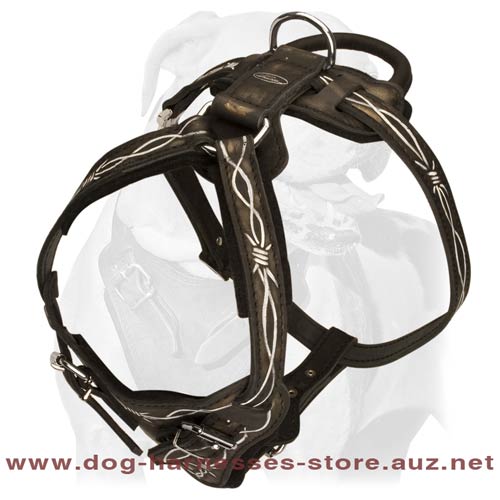 Leather Dog Harness For Intensive Trainings