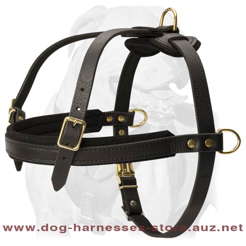 Leather Dog Harness With Thick Felt Padding