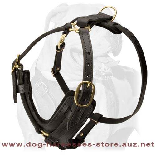 Fine Leather Dog Harness