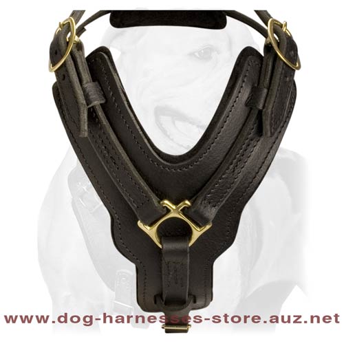 Leather Dog Harness For Intensive Training