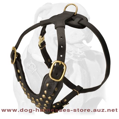 Astonishing Leather Dog Harness