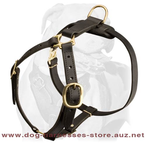 Extra Strong Leather Dog Harness