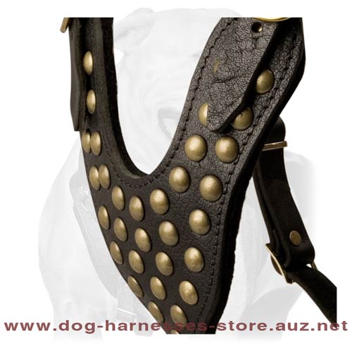 Ultracool Leather Dog Harness