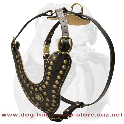 Leather Dog Harness For Sport Activities