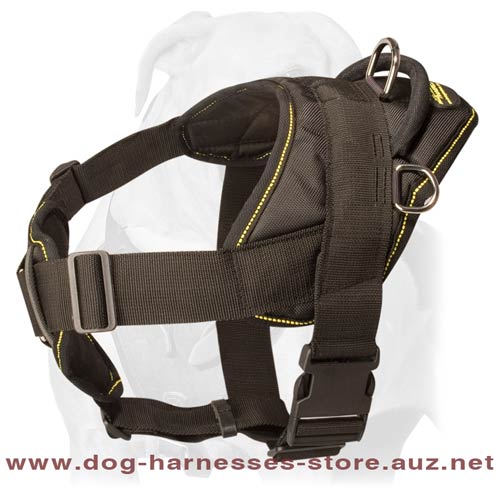 Safe Leather Dog Harness