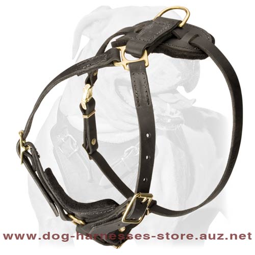 Leather Dog Harness For Obedience Training