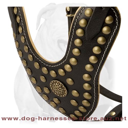 Strong Leather Dog Harness