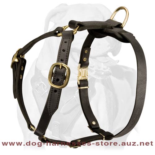 Stunning Leather Dog Harness