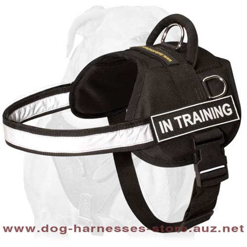 Perfect Quality Leather Dog Harness