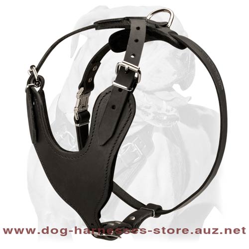 Superb Leather Dog Harness