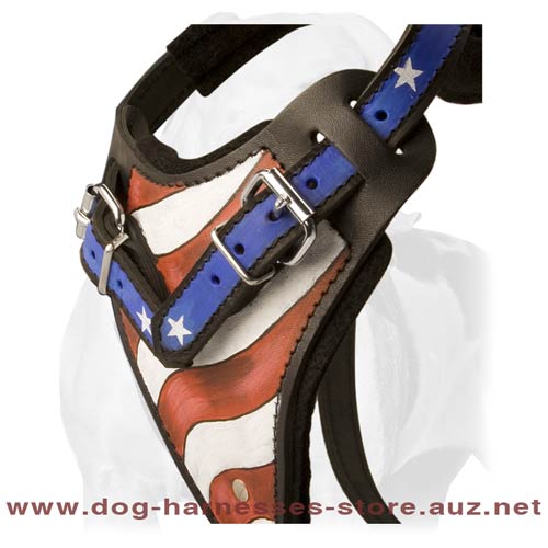 Leather Dog Harness For True American Patriots