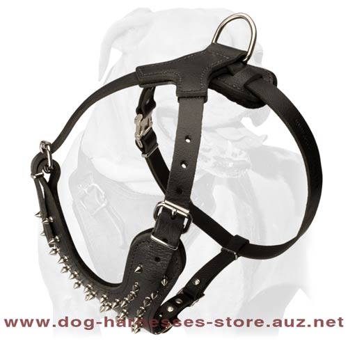 Leather Dog Harness For True Champions