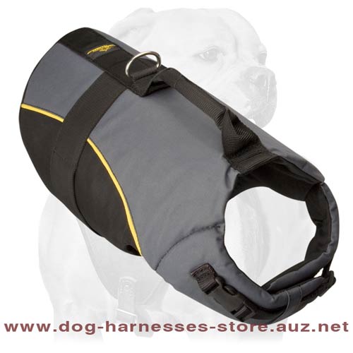 Nylon Harness For Active Dogs