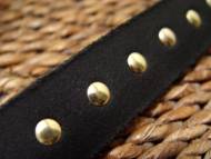 leather-spiked-dog-collar-closeup