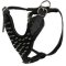 Adjustable Boxer Spike Dog Harness