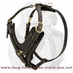 Luxury Handcrafted Leather Dog Harness