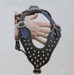 Adjustable Brass Spiked Leaher Dog Harness - Handcrafted Spiked Harness