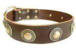 Adjustable Leather Dog Collar with silver conchos
