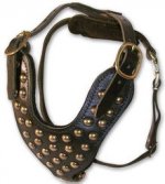 Adjustable Studded Leather Dog Harness - Padded leather dog harness