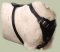 Adjustable English Bull Terrier Dog Harness- Leather Dog Harness for BT