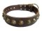 Adjustable Gorgeous Wide Leather Dog Collar - Brown