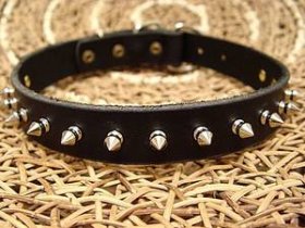 Adjustable Leather spiked dog collar-1 Row of spikes collar for all breeds