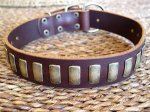 Adjustable Gorgeous Wide Leather Dog Collar With Plates
