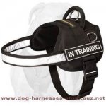 Nylon Dog Harness For Any Weather