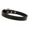 1 inch wide leather dog collar