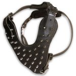 Adjustable Large Spiked Leather Dog Harness fog big dogs- custom made