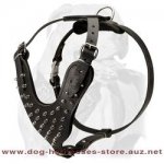 Handmade Nickel Spiked Leather Dog Harness