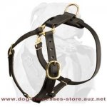 Leather Dog Harness For Walking And Tracking