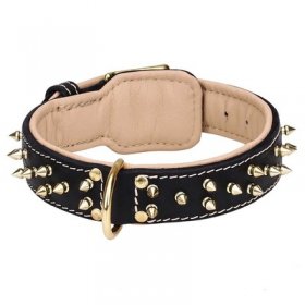 Leather Dog Collar with Two Rows of Brass Spikes