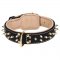 Leather Dog Collar with Two Rows of Brass Spikes