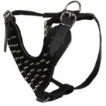Adjustable Bordeaux Bulldog Spiked Dog Harness