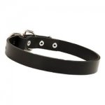 1 inch wide leather dog collar