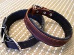 Adjustable Leather dog collar padded with thick felt