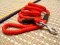 Adjustable Cord nylon dog leash - dog lead for walking training