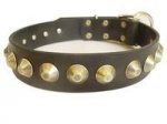 Adjustable Gorgeous Wide Leather Dog Collar With Brass Pyramids