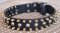 Adjustable 3 Rows brass Leather Spikes & Studded best Dog Collar