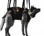 Adjustable Akita inu Tactical Insertion Harness - Crucial harness Husky