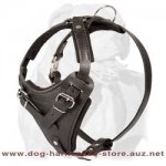 Easily Adjustable Leather Dog Harness