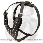 Leather Dog Harness With Cones