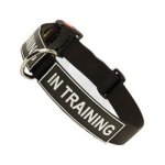 Strong Nylon Dog Collar with Patches and Quick Release Buckle