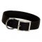2ply nylon dog collar with D-ring