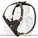 Adjustable Walking Leather Dog Harness