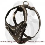 Leather Dog Harness For Making Your Dog Unique
